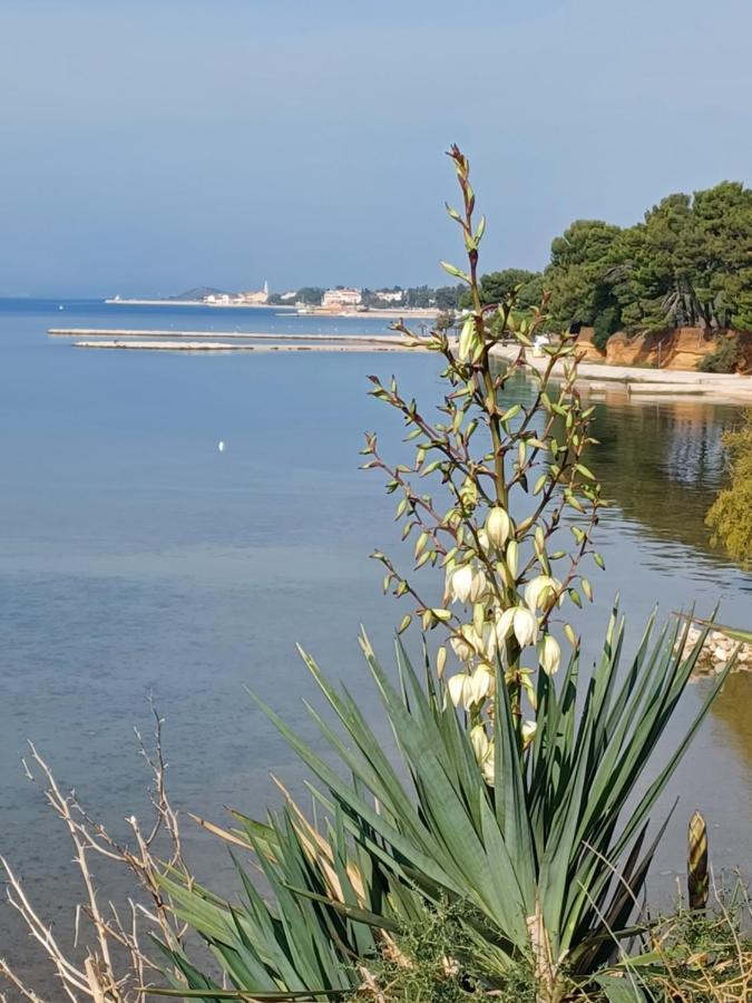 Be-bu-mar Apartma *